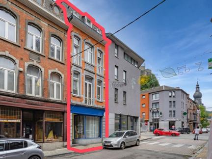 Vente en viager. Maison 5VIAXV à Namur Dinant miniature