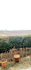 Vente en viager. Maison DJUYE2 à Hainaut Molenbaix miniature