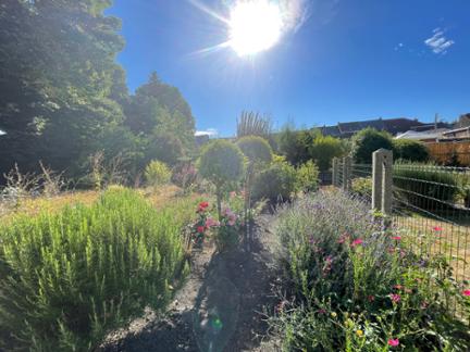 Vente en viager. Maison J1CHLX à Hainaut Marcinelle miniature