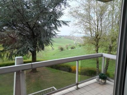 Vente en viager. Appartement LN8SLT à Liège Fléron miniature
