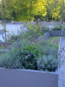 Vente en viager. Appartement RP4SKC à Bruxelles Woluwe-Saint-Lambert miniature