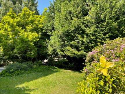 Vente en viager. Maison UOOFJT à Bruxelles Watermael-boitsfort miniature