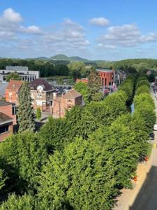 Vente en viager. Appartement WFYRC2 à Hainaut Mons miniature