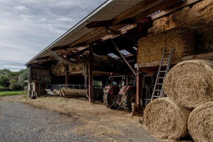 Vente en viager. Maison WVPGFE à Namur Havelange miniature