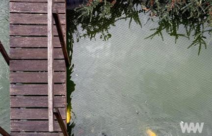 Vente en viager. Maison XND7EC à Namur Hastière miniature